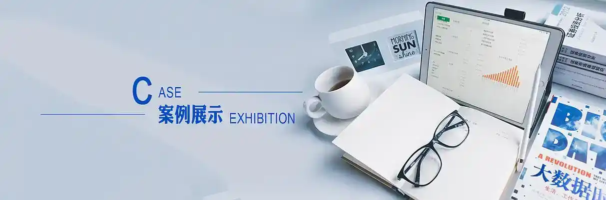 通河县软件开发